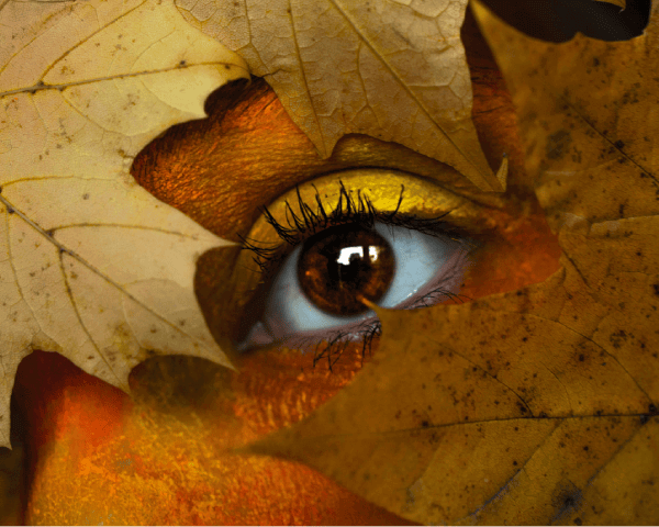 L'œil d'une femme entouré de feuille aux couleurs d'automne