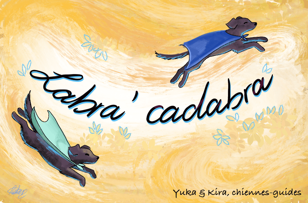 Dans cette nouvelle illustration de Chloé,
            Yuka et Kira portent chacune une cape de super-héroïne, bleu azur pour l'une,
            bleu foncé pour l'autre, et volent, telles des magiciennes, autour de 
            l'inscription Labracadabra... Yuka et Kira, chiennes-guides! Il s’agit du titre de mon blog, dont le lien, 
            pour le visiter, se situe juste au-dessous