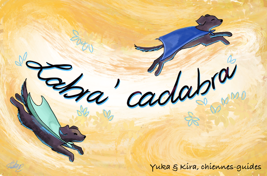 Dans cette nouvelle illustration de Chloé,
                    Yuka et Kira portent chacune une cape de super-héroïne, bleu azur pour l'une,
                    bleu foncé pour l'autre, et volent, telles des magiciennes, autour de 
                    l'inscription Labra'cadabra, titre de mon blog, que vous pouvez visiter 
                    en sélectionnant le bouton au-dessous