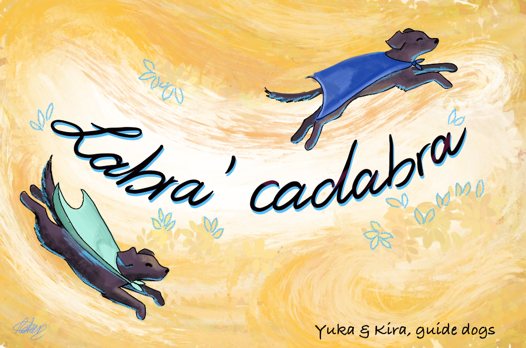 In this new illustration by Chloe, Yuka and Kira each wear a super-heroine cape, turquoise for one, dark blue for the other, and fly, like magicians around the inscription «Labra’cadabra, Yuka and Kira, guide dogs» 
                    title from my blog, which you can visit by clicking on the button below