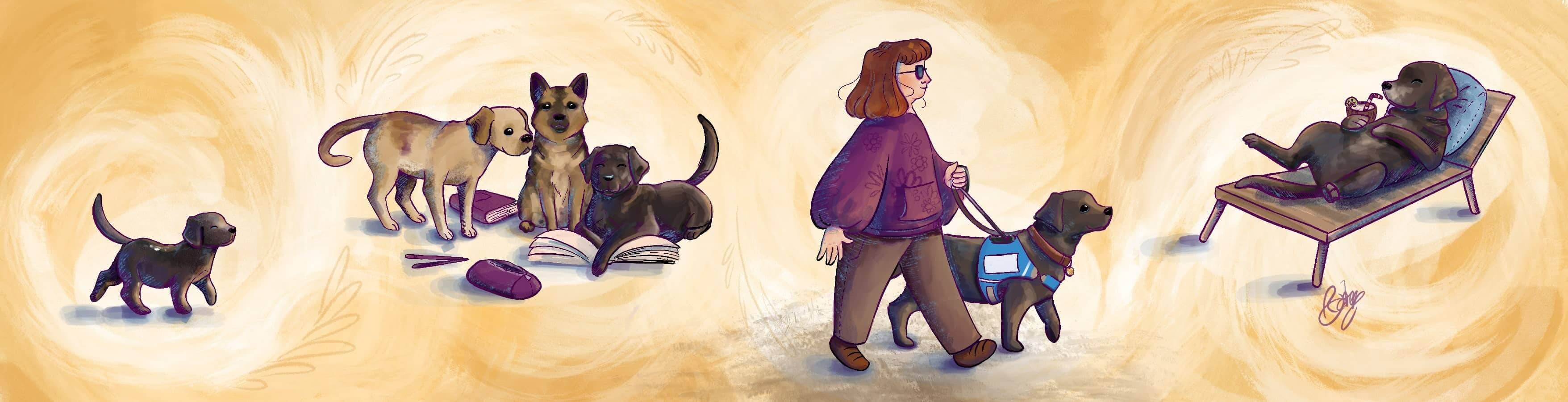 une bannière dessinée par Chloé montrant l'évolution d'un chiot, labrador noir, puis il est en classe avec un labrador beuge et un berger allemand, enfin il me guide et finalement il est confortablement installé sur une chaise longue, un verre cocktail et une paille en direction de sa gueule. C'est l'heure de la retraite qui a sonné !